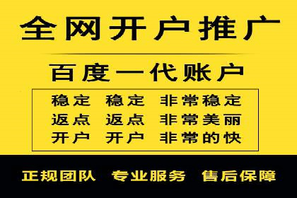 百度竞价代理的运营策略与成功案例分析
